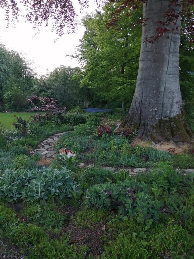 Chambre Le Notre Le Domaine Des Jardins De Bracquetuit Exterior photo