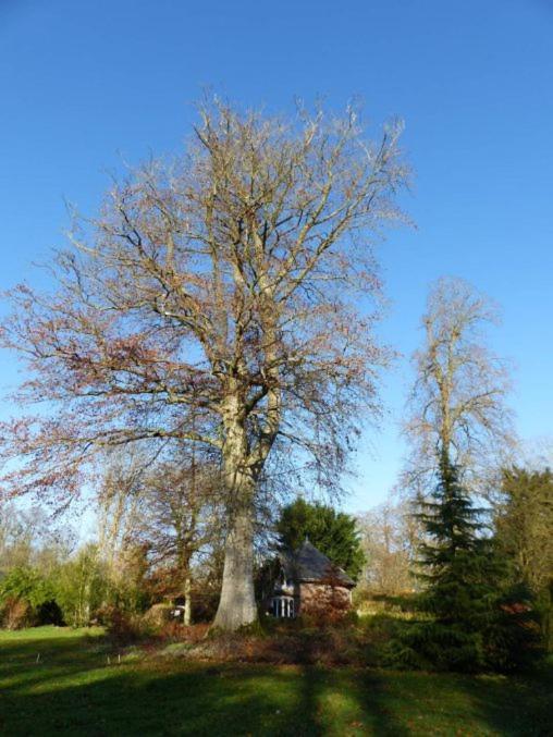 Chambre Le Notre Le Domaine Des Jardins De Bracquetuit Exterior photo