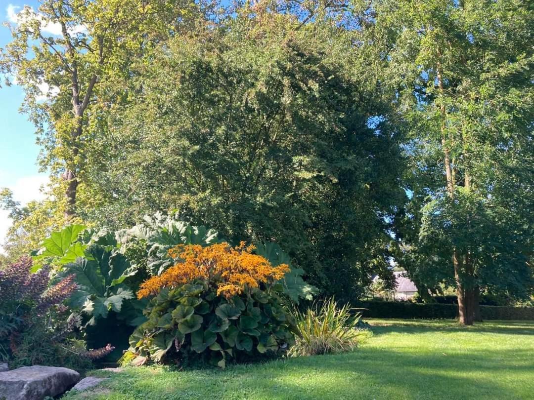 Chambre Le Notre Le Domaine Des Jardins De Bracquetuit Exterior photo